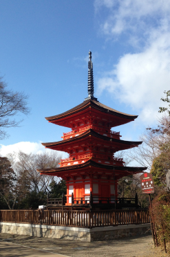 japan tour